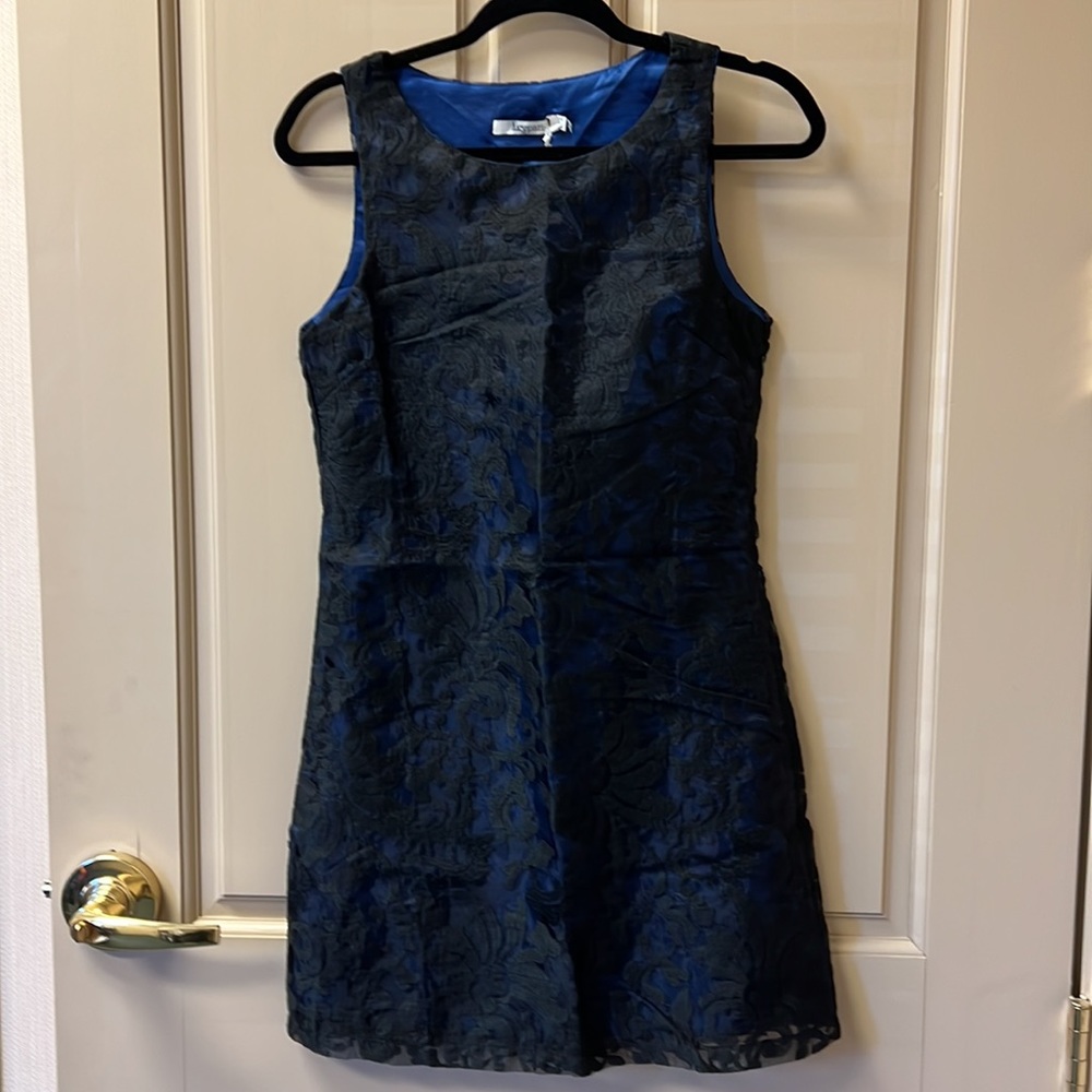 NWT Lucy Paris Sleeveless Lace Shift Dress S